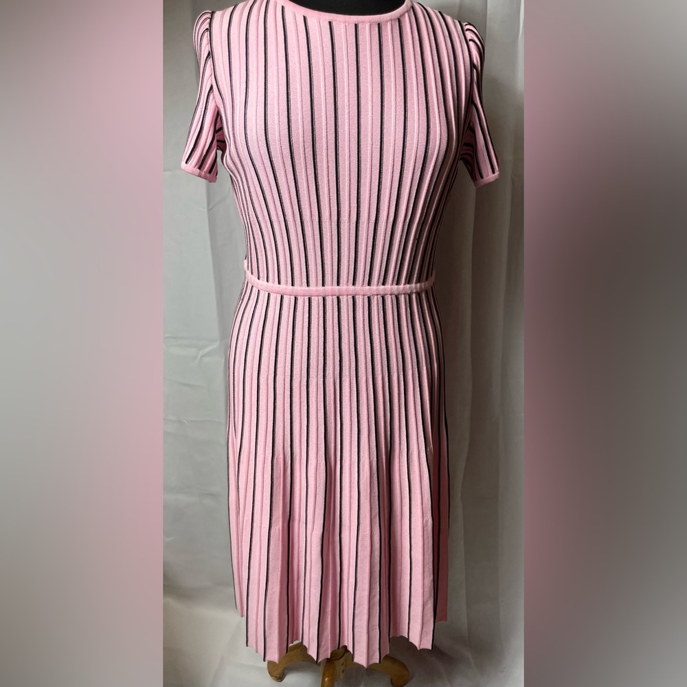 Ming Wang Size XXS Pink Black Striped Modern Fit Soft Knit A Line Dress